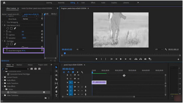 Adobe Première Pro Blend