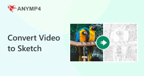 Convert Video to Sketch