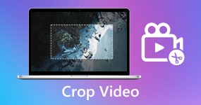 Crop A Video