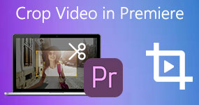 Crop Video In Premiere