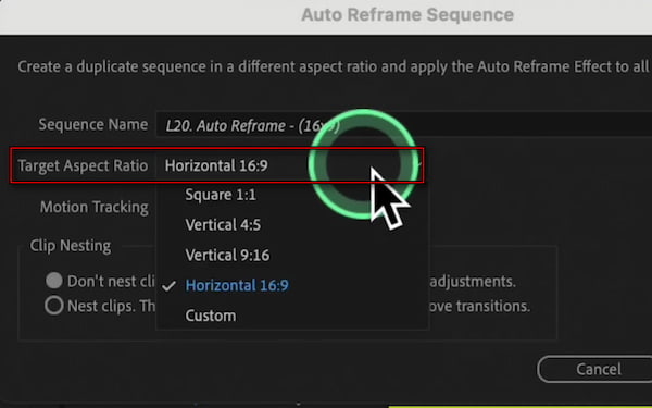 Set Target Aspect Ratio In Premiere