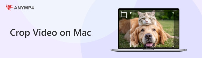 Crop Video Mac