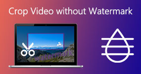 Beskär video utan vattenstämpel