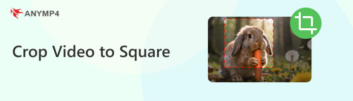 Crop Video To Square