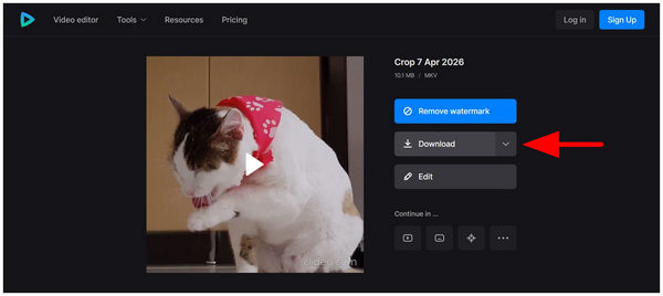 Clideo Download