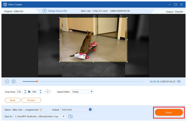 Anymp4 Video Converter Ultimate Export