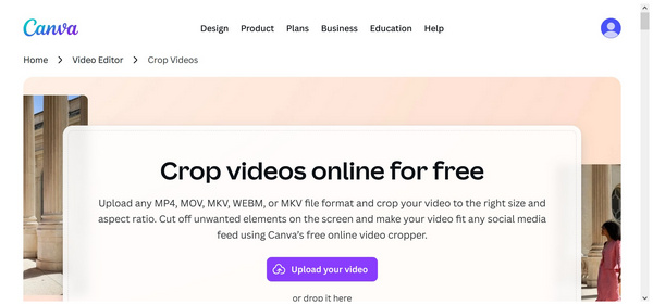 Online Video Cropper