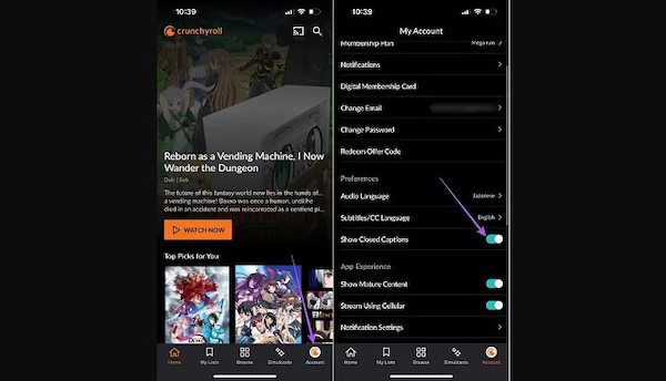 Toggle On Off Subtitles