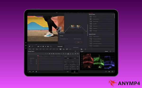 Davinci Resolve Magic Mask