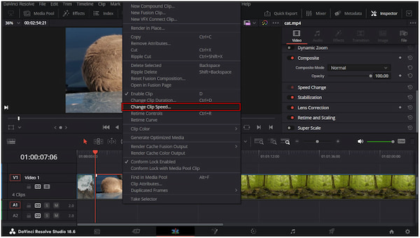 Select Change Clip Speed
