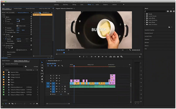 Premiere Pro Motion Graphics