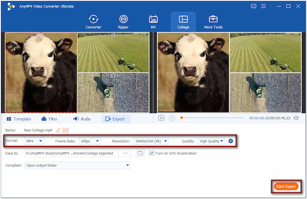 Export Pip Video