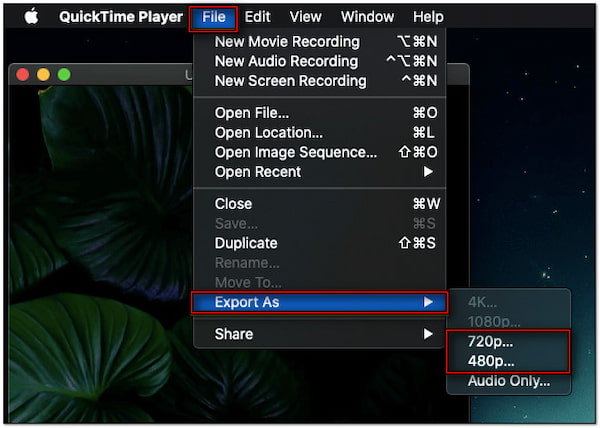 Choose Output Resolution