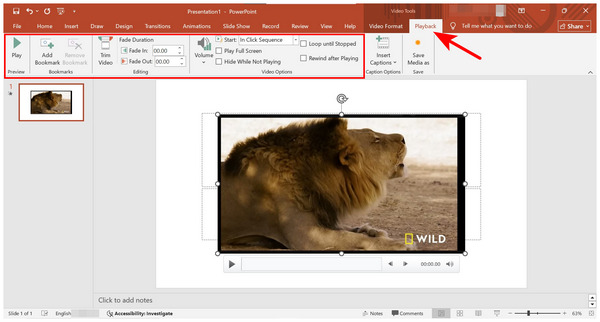 Powerpoint Playback Options