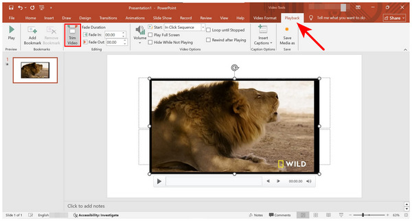 Powerpoint Playback