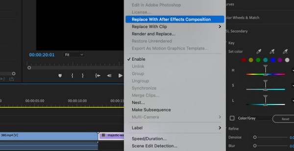 Premiere Pro After Effects
