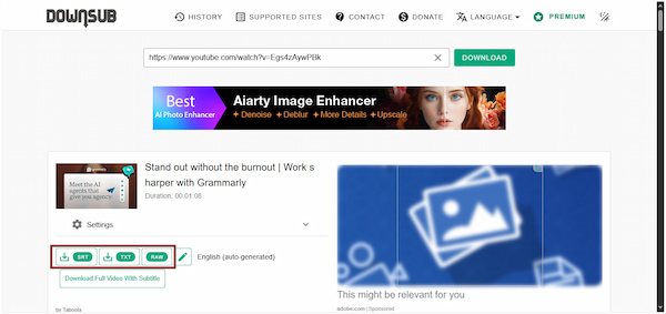 Choose Subtitle Format