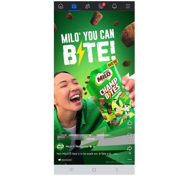 Facebook In Stream AD