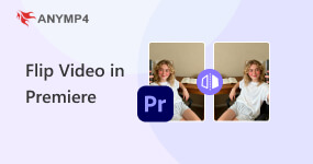 Flip Video In Premier
