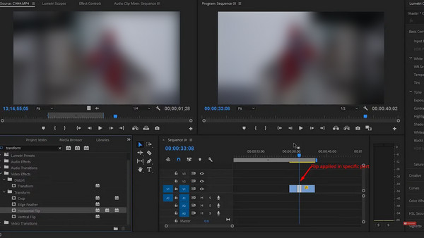 Transform Effect To Flip Video