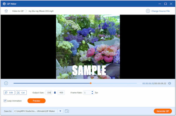 AnyMP4 Video Converter Ultieme GIF-maker