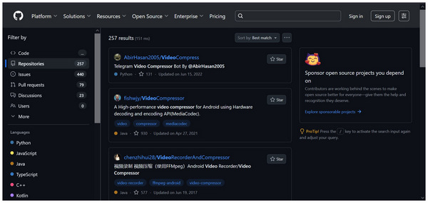 Github Interface