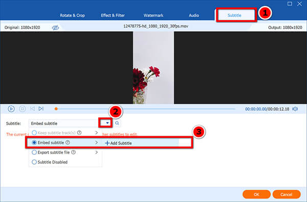 Embed Subtitle for Video