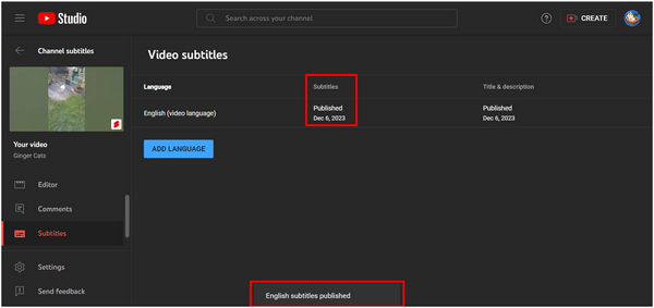 YouTube Subtitles Published