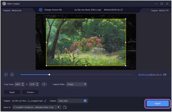 AnyMP4 Video Cropper-export