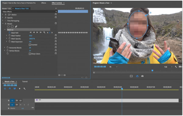 Premiere Pro Lägg till mosaik till video