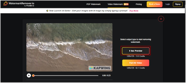 Begin Watermark Removal