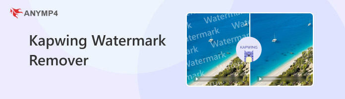 How To Remove Kapwing Watermark