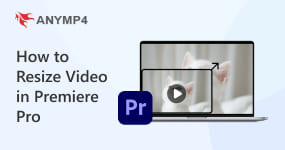 How To Resize Video In Premiere Pro