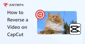 How to Reverse A Video on CapCut