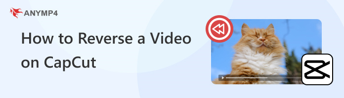 How to Reverse A Video on CapCut 