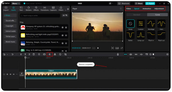 Place Video In Timeline
