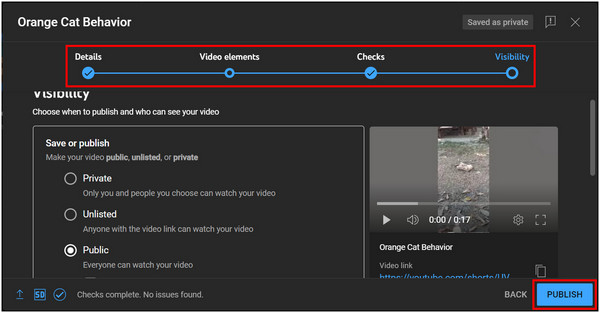 YouTube Website Upload Details and Publish