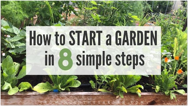 Gardening Beginner Guide