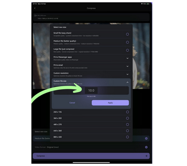 Panda Video Compressor Interface