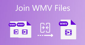 Junte-se a arquivos WMV