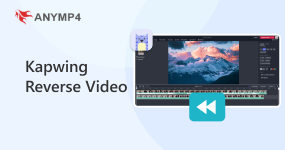 Reverse Video with Kapwing