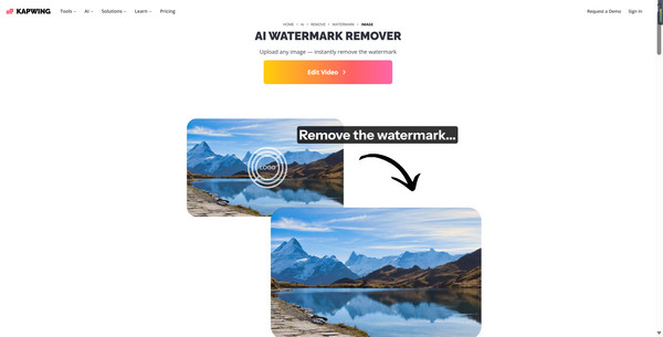 Kapwing Watermark Remover Review