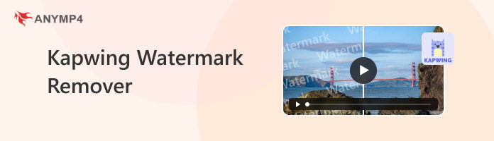 Kapwing Watermark Remover