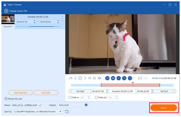 Anymp4 Video Converter Ultimate Export