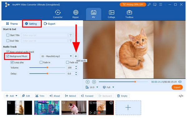 Anymp4 Video Converter Ultimate Setting