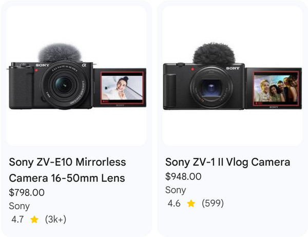 Professional Image Quality Camera Sony