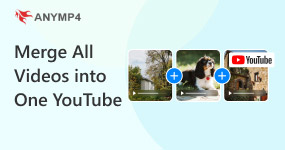 Merge All Videos Into One Youtube