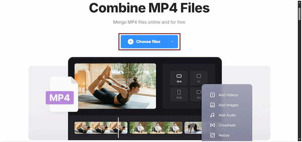 Choose Mp4 Files