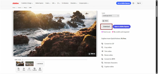 Download Combined Video