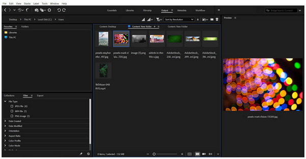 Adobe Bridge Interface